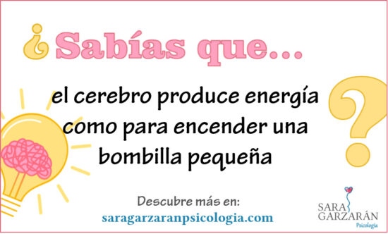 El cerebro produce energia como para encender una bombilla