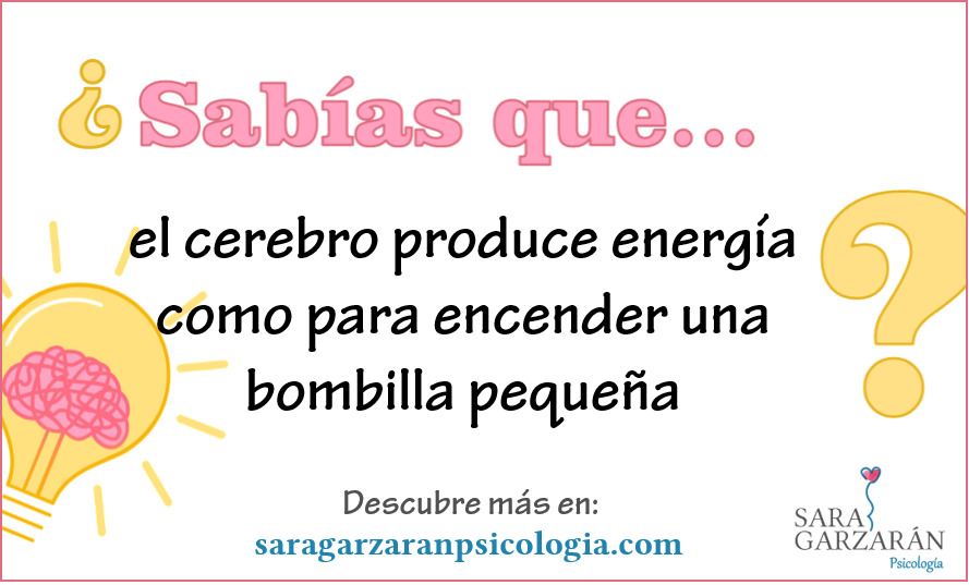 El cerebro produce energia como para encender una bombilla